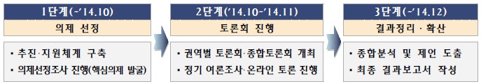 국민대토론회 실행 단계와 단계별 주요 과제