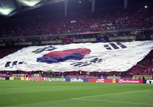 2002 FIFA World Cup Image1