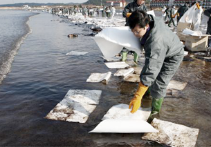 oil spill in Taean-gun Image2