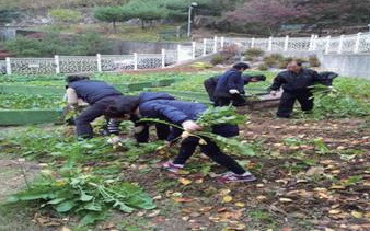 텃밭 가꾸기 중인 주민들